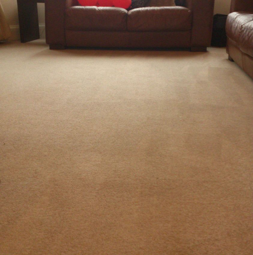 Enjoy the luxury of new carpets in your Atlanta home Fantastic Services