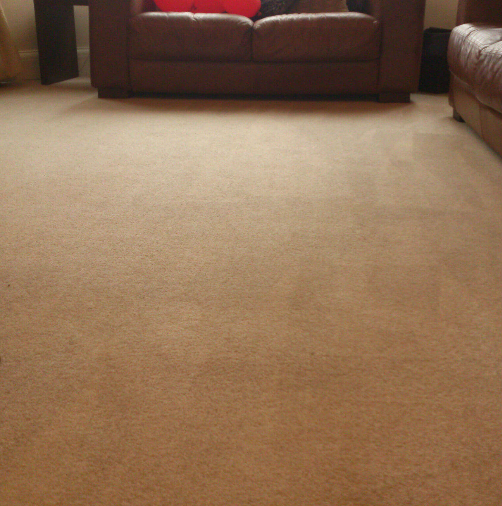 Enjoy the luxury of new carpets in your Atlanta home Fantastic Services